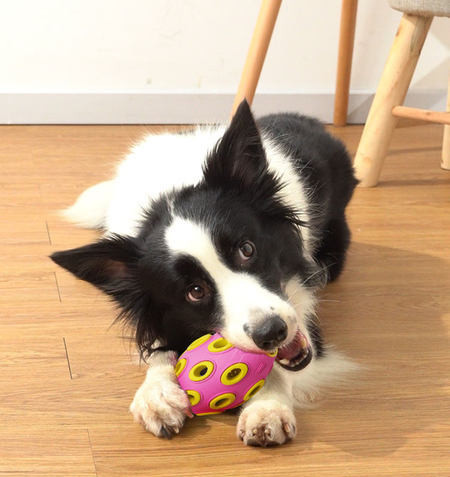 Minge de rugby pentru animale de companie