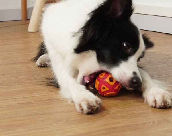 Jucărie din silicon în formă de minge potrivită pentru câini