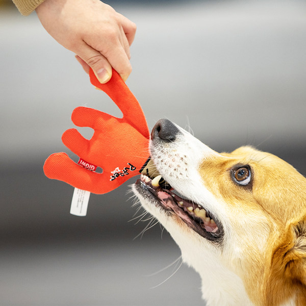 Jucărie de plus două modele - pentru câini