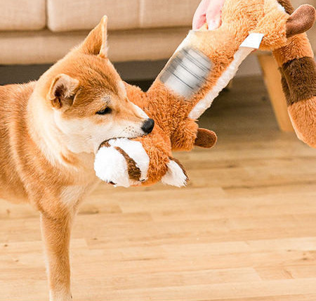 Mängimiseks sobiva heliga plüüsis mänguasi koertele