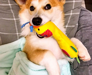 Плюшена играчка във формата на животни подходяща за кучета