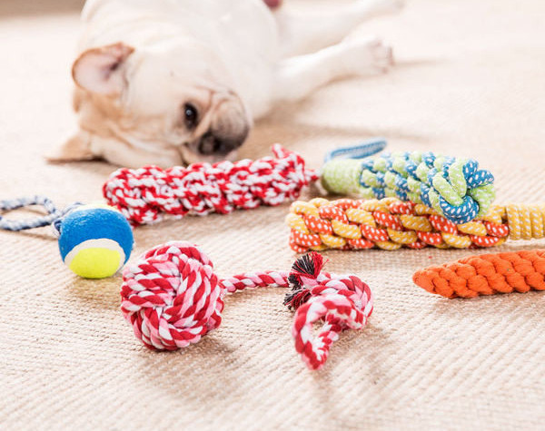 Funie de jucarie pentru animale de companie