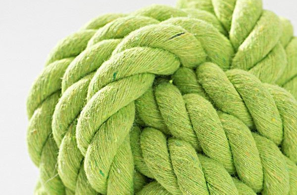 Jucărie durabilă pentru a mușca mai multe modele - pentru animale de companie