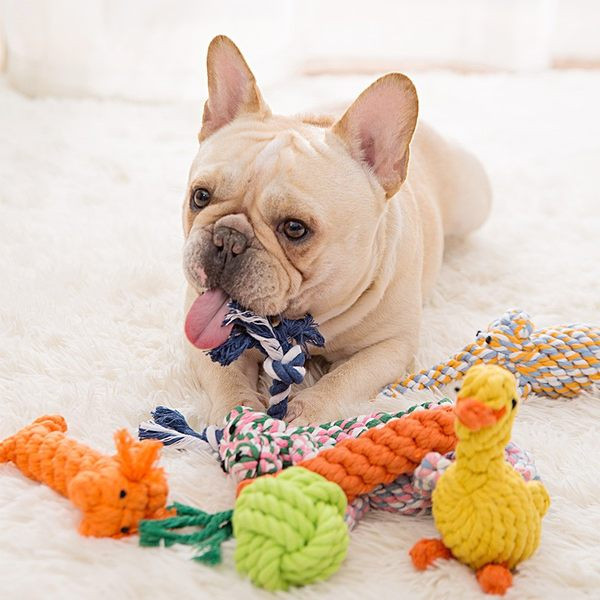 Jucărie durabilă pentru a mușca mai multe modele - pentru animale de companie