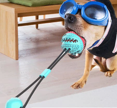 Vastupidav silikoonmänguasi koertele