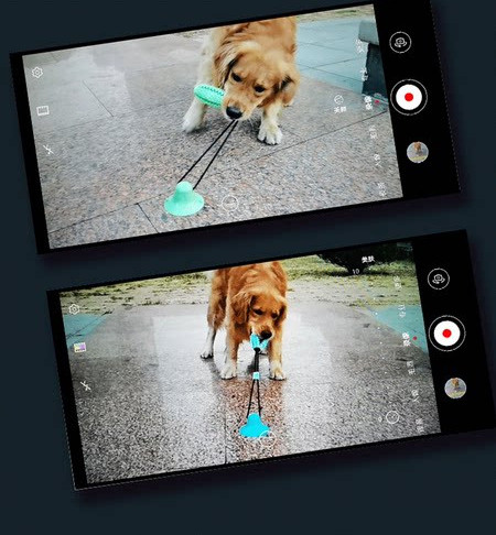 Vastupidav silikoonmänguasi koertele