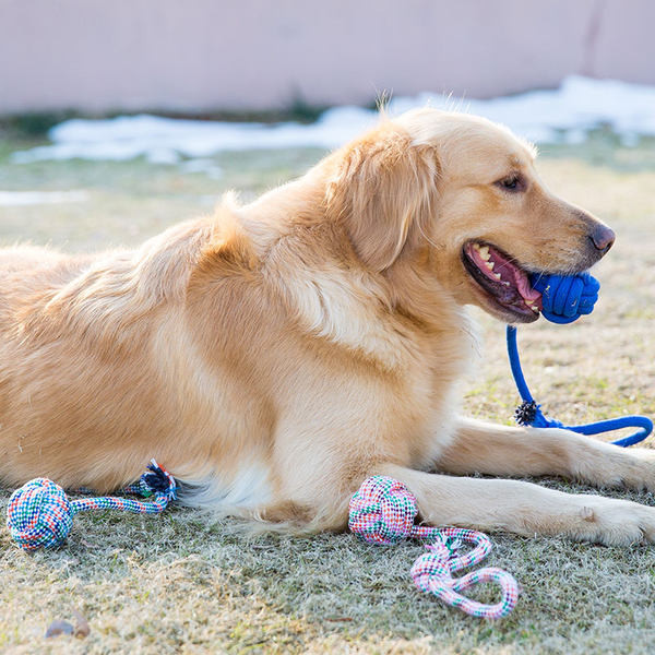 Jucărie textilă pentru câini de mai multe culori