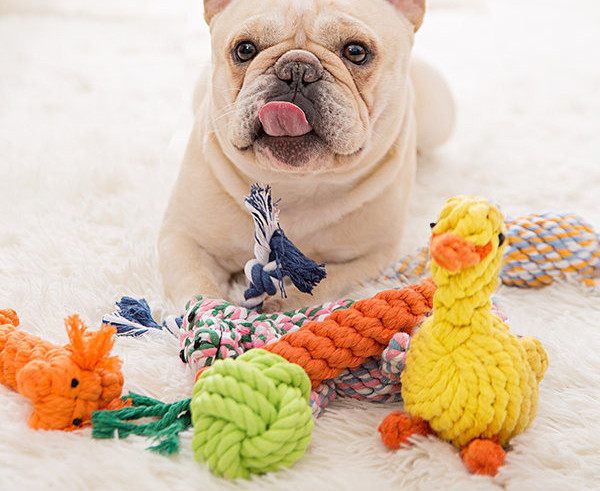 Tekstilna igračka za kućne ljubimce