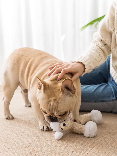 Uue mudeli plüüsmänguasi lemmikloomadele