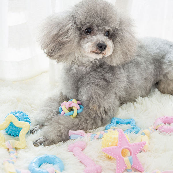 Παιχνίδι μπάλα για σκύλους