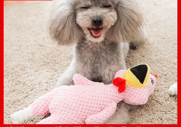 Palus mänguasi koertele