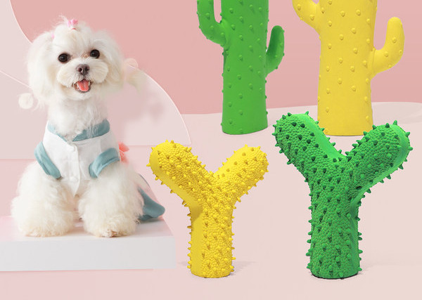 Muusikaline kummist mänguasi lemmikloomadele