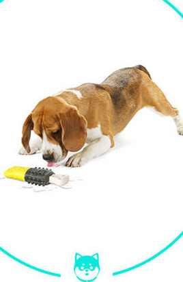 Toidukambriga kummist mänguasi koerale