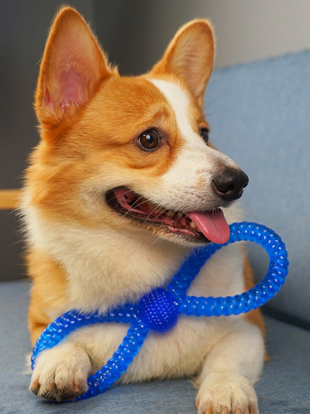 Plava gumena igračka za pse