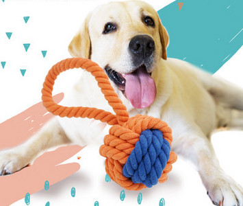 Mänguköis - koertele