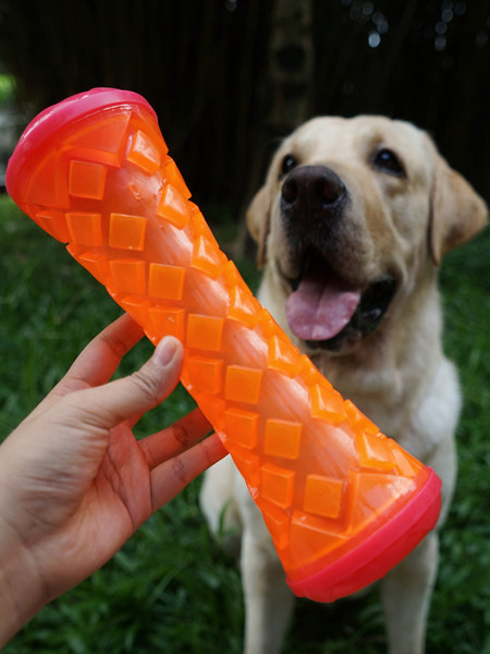 Gumena igračka za pse koji grizu