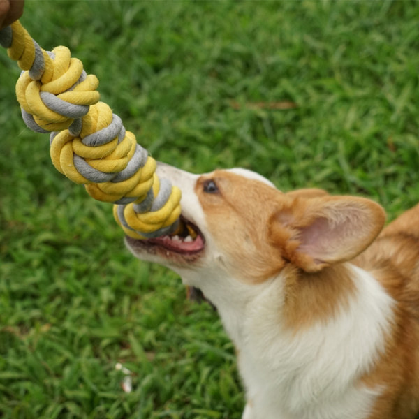 Pseća tekstilna igračka za žvakanje - uže s čvorovima