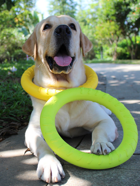 Silikoonist koeramänguasjad - mitu mudelit