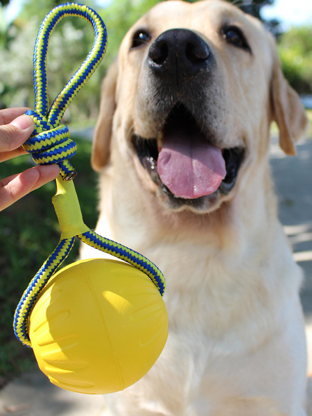 Silikoonist koeramänguasjad - mitu mudelit