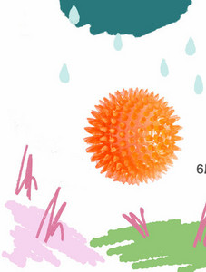 Kummist pall mängimiseks sobivatele koertele