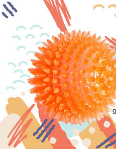 Kummist pall mängimiseks sobivatele koertele