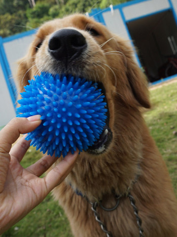 Λαστιχένια μπάλα για σκύλους κατάλληλη για παιχνίδι