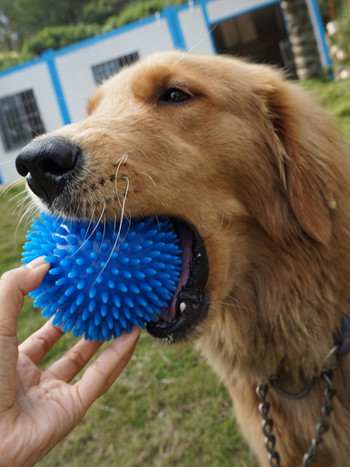 Гумена топка за кучета подходяща за игра