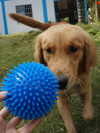 Гумена топка за кучета подходяща за игра