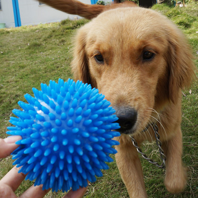 Kummist pall mängimiseks sobivatele koertele