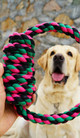 Текстилен ринг с възел за кучета