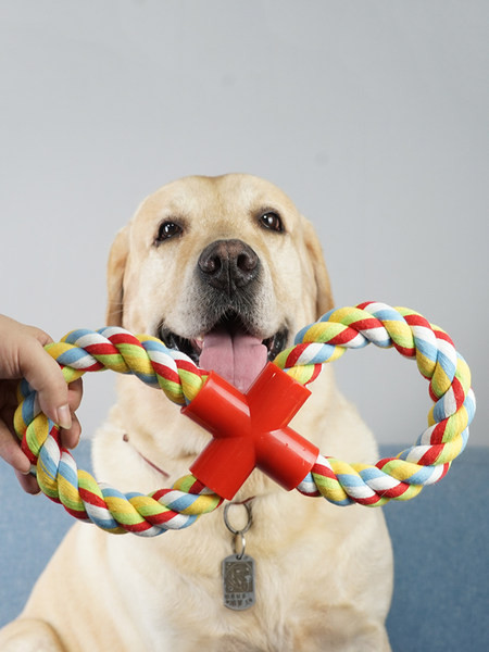 Frânghie colorată pentru a juca animale de companie