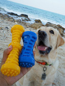 Silikoonist mänguasi koertele - kaks mudelit