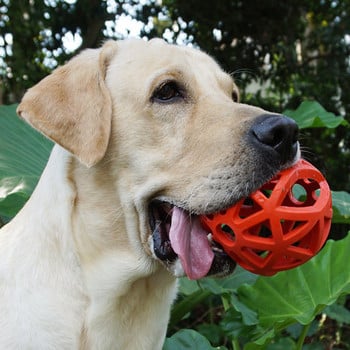 Гумена топка за кучета няколко цвята 