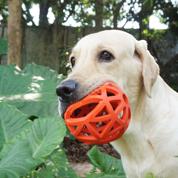 Μπάλα από καουτσούκ για σκύλους σε διάφορα χρώματα