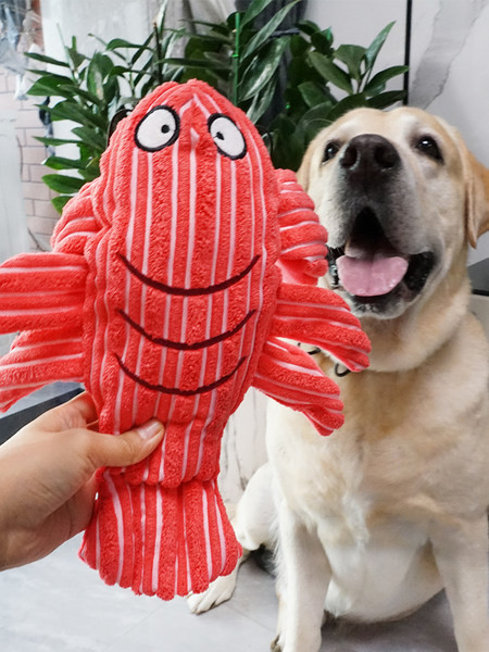 Palus mänguasi - kaks mudelit