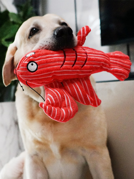 Palus mänguasi - kaks mudelit