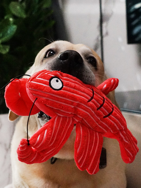 Palus mänguasi - kaks mudelit