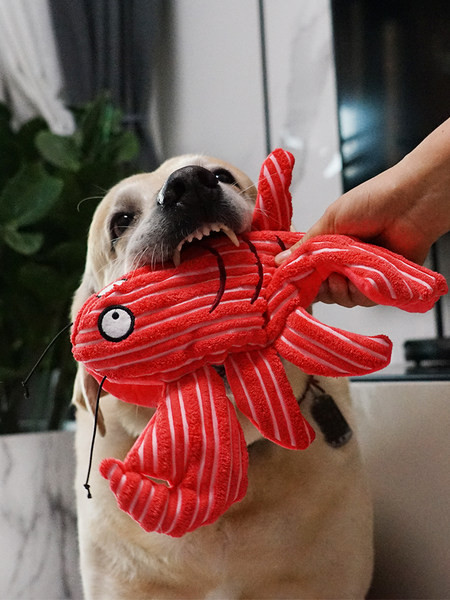 Palus mänguasi - kaks mudelit