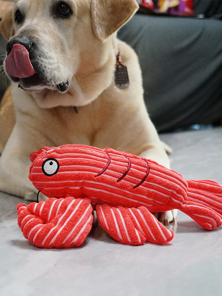 Palus mänguasi - kaks mudelit