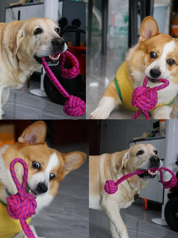 Текстилно въже подходящо за игра на кучета