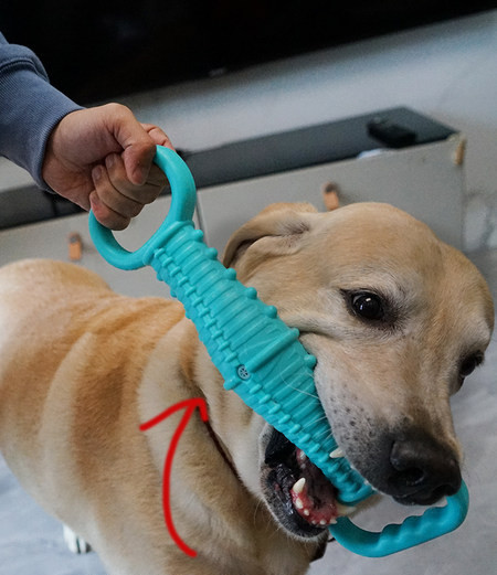 Pseća gumena igračka za žvakanje