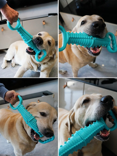 Pseća gumena igračka za žvakanje