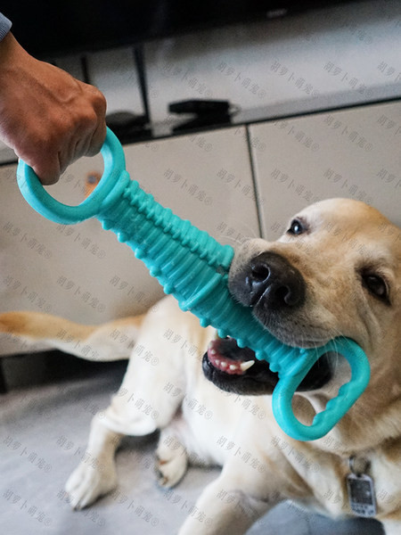 Pseća gumena igračka za žvakanje
