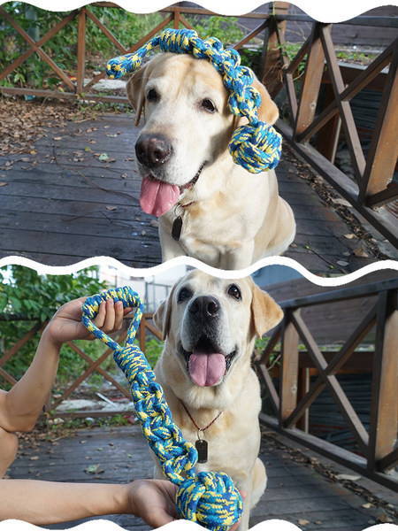 Rotaļu virve mājdzīvniekiem