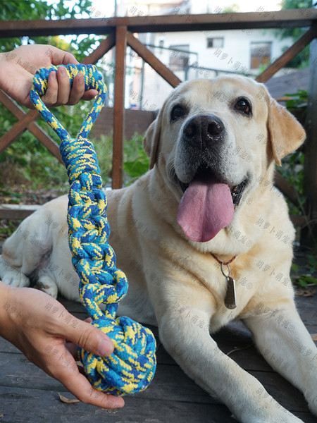 Rotaļu virve mājdzīvniekiem
