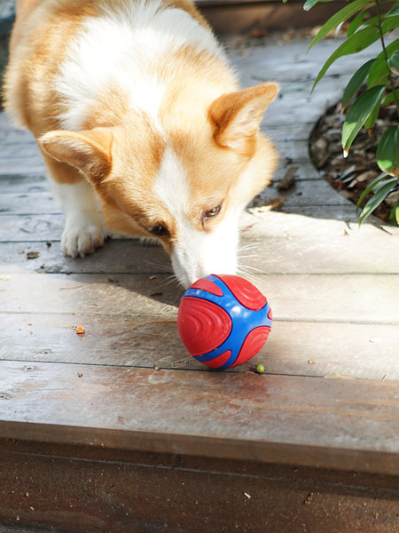 Gumena lopta u tri boje