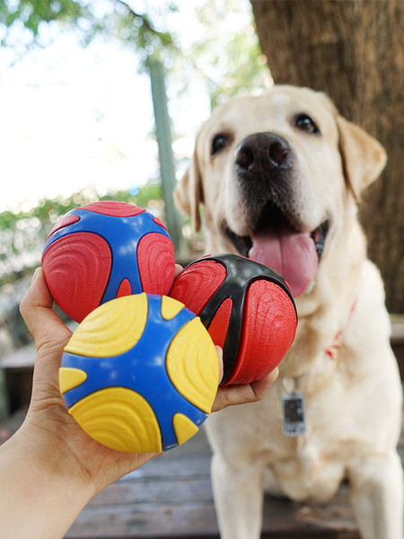 Gumena lopta u tri boje