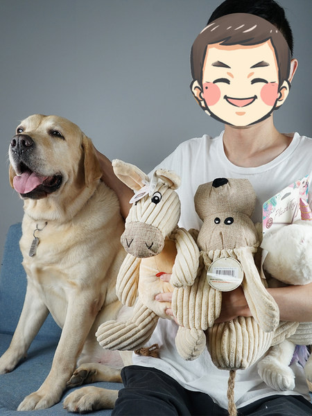 Jucărie de plus pentru câini - mai multe modele