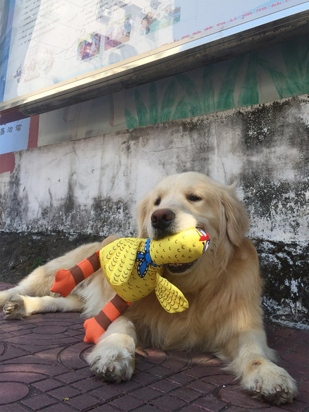 Jucărie de plus potrivită pentru animale de companie