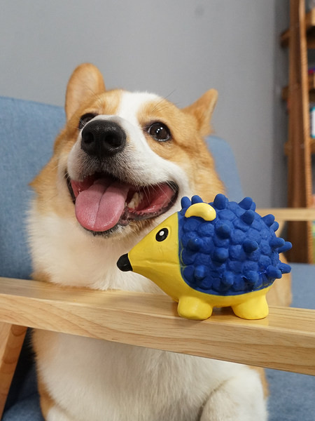 Lopta od lateksa za igranje kućnih ljubimaca